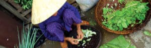Vietnam & Cambodia Real Food Adventure. Vietnam