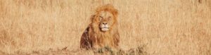 Epic African Adventure. Kenya