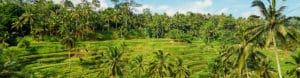 Bali Family Holiday with Teenagers. Indonesia