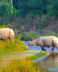 Classic Nepal. Nepal