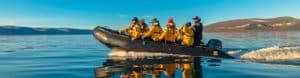 Greenland Adventure by Sea