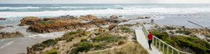 Tasmanian Explorer. Australia