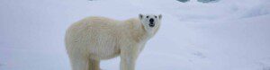 Best of the Western Arctic: Canada and Greenland from Toronto. Canada