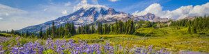 Best of the Pacific Northwest. United States Of America