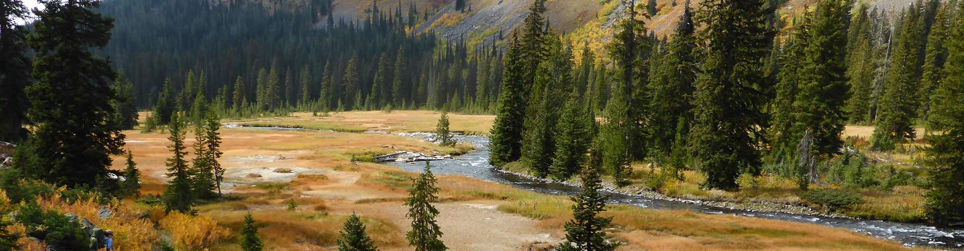 Hiking and Backpacking Yellowstone's Bechler River Traverse. United States Of America