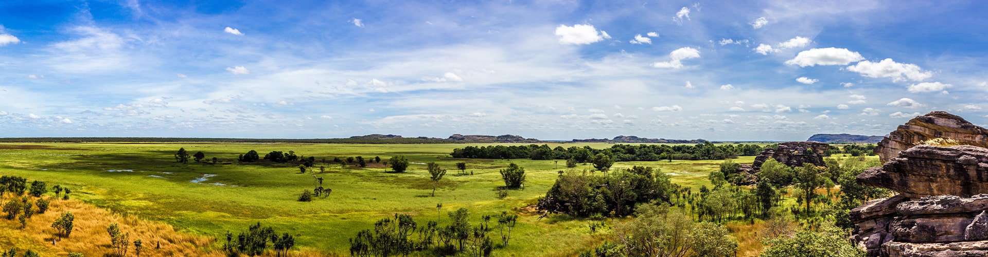 Kakadu