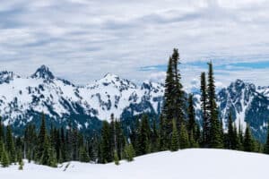 Winter Hiking and Snowshoeing in Mt Rainier National Park. United States Of America