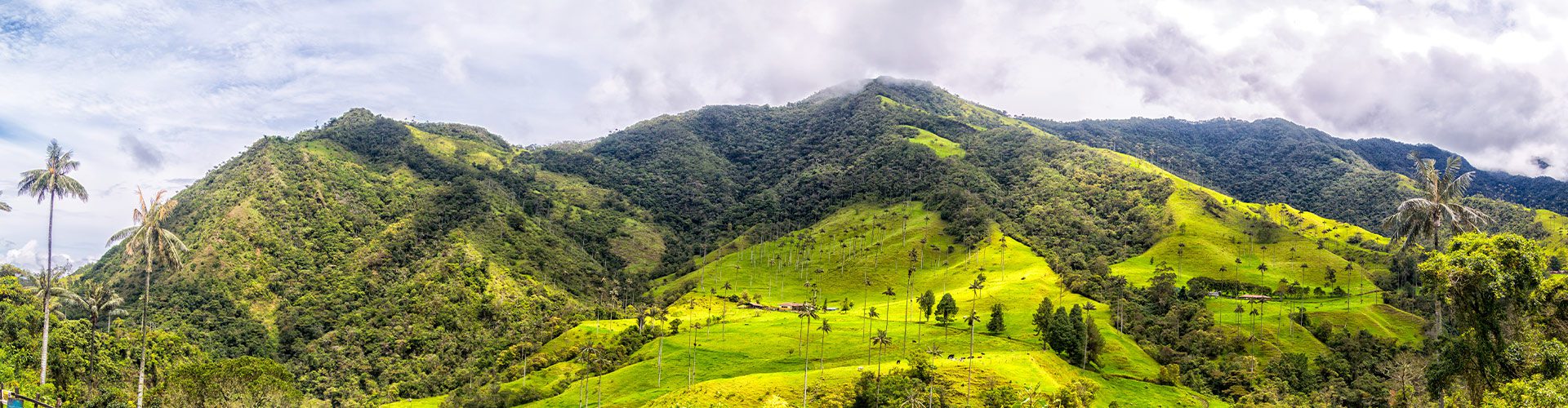 Premium Colombia. Colombia