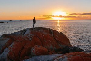Walk Tasmania's Bay of Fires. Australia