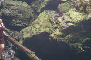 Hike Tasmania's Tarkine Wilderness. Australia