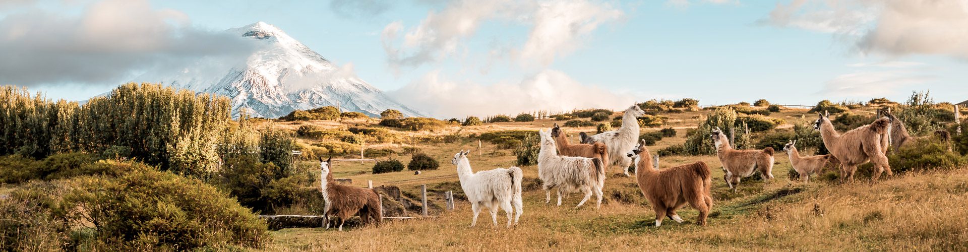 Ecuador Highlands. Ecuador