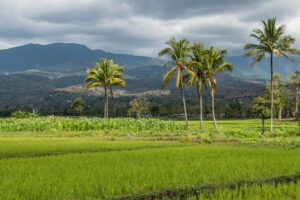 Timor-Leste Expedition. Timor-leste