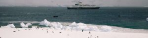 Ultimate Antarctica: Falklands