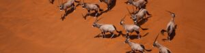 Southern Africa Adventure. Namibia