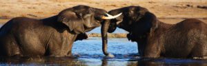 Vic Falls to Cape Town. Namibia