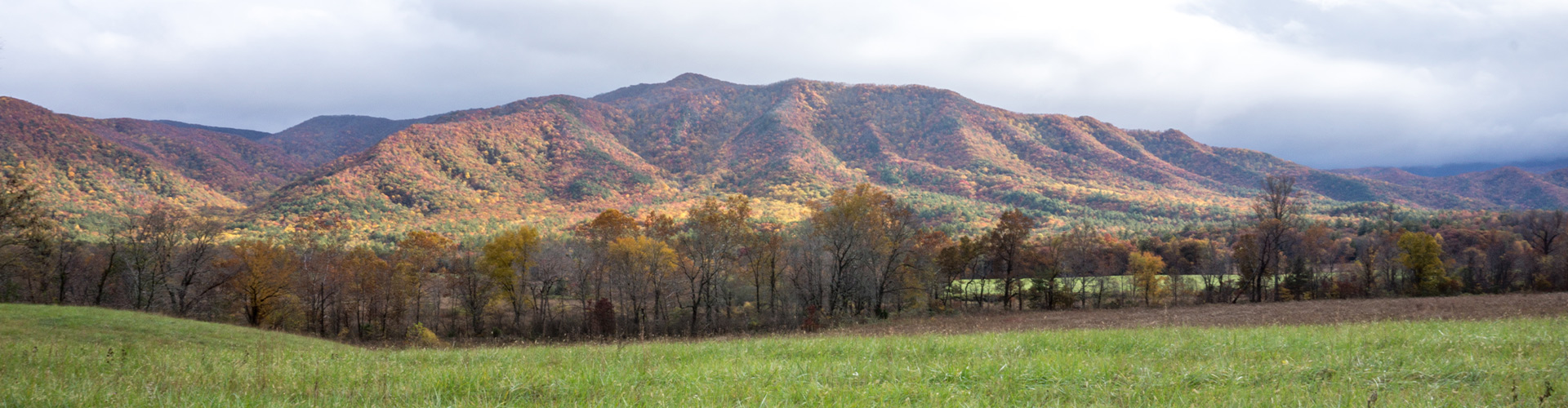 Hike the Great Smoky Mountains: Fall Foliage. United States Of America