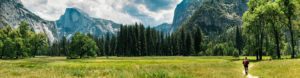 Best of California's National Parks. United States Of America