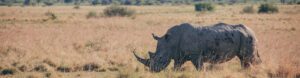 Botswana Highlights. Botswana