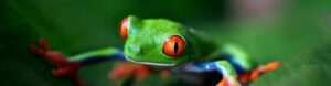 Best of Costa Rica Family Holiday. Costa Rica