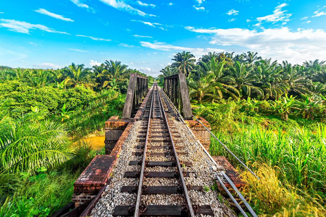 Malaysia's Jungle Railway Adventure. Malaysia