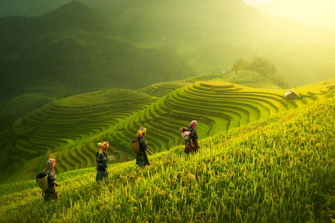 Premium Walking & Hiking in Vietnam. Vietnam