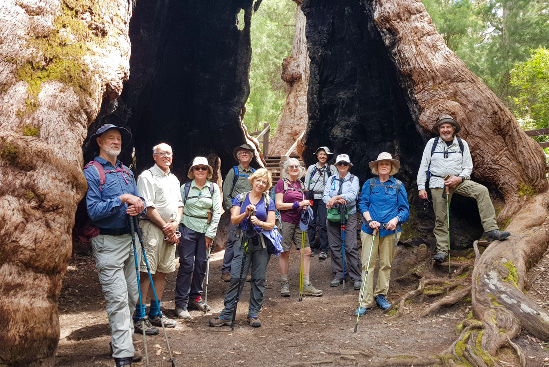 Hike the Bibbulmun Track: Walpole to Denmark. Australia