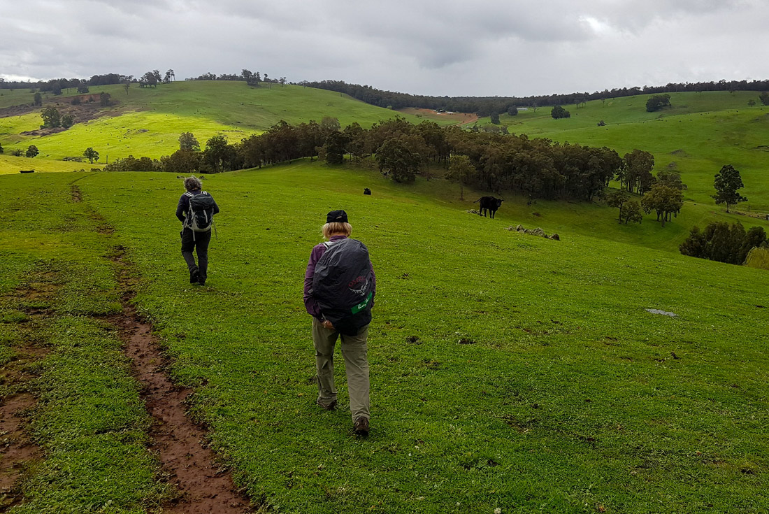Hike the Bibbulmun Track: Donnelly River to Balingup. Australia