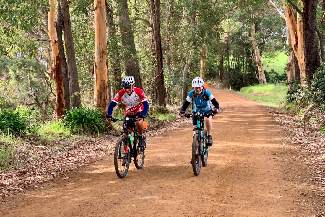 Cycle the Munda Biddi Trail: Albany to Walpole. Australia