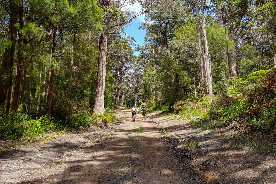 Cycle the Munda Biddi Trail: Walpole to Manjimup. Australia