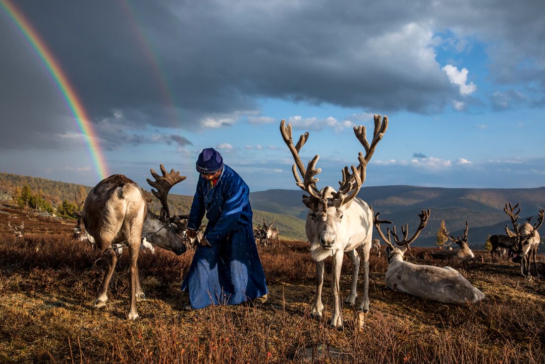 Mongolia Expedition: Reindeer Herders. Mongolia