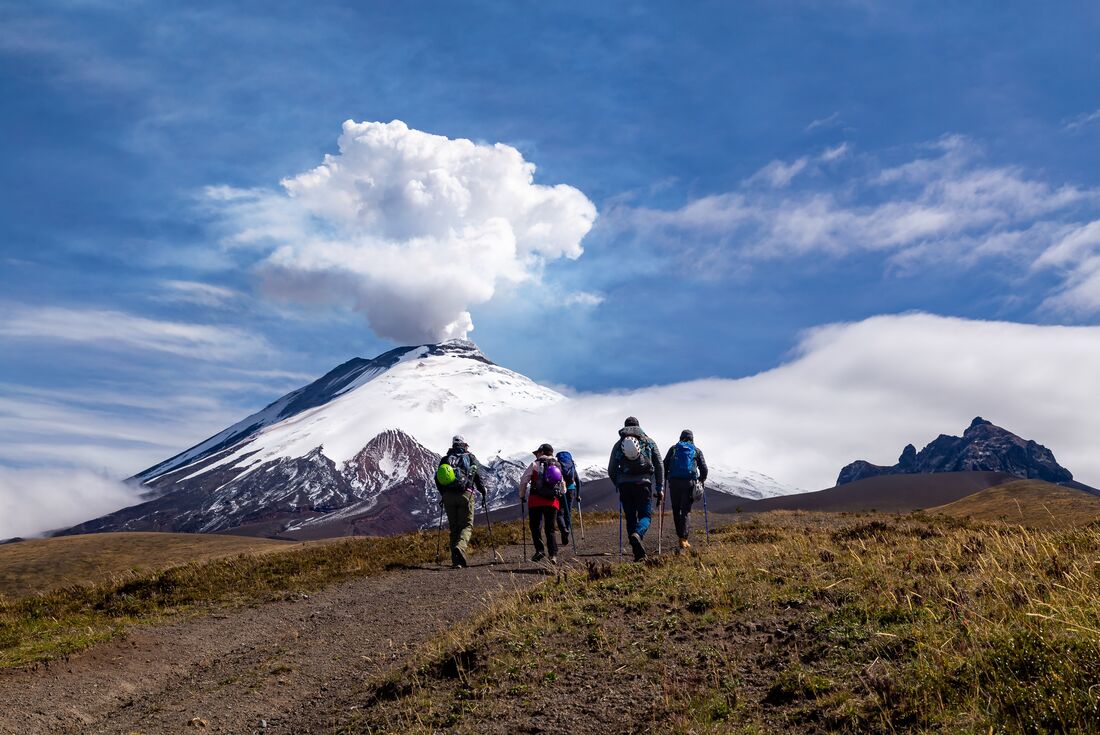 Premium Ecuador. Ecuador